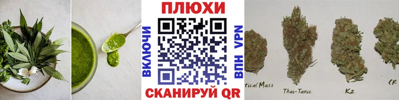 blacksprut рабочий сайт  Ногинск  Cannafood конопля  закладка 