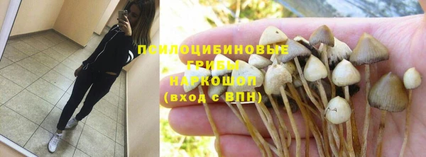 прущие крисы Баксан