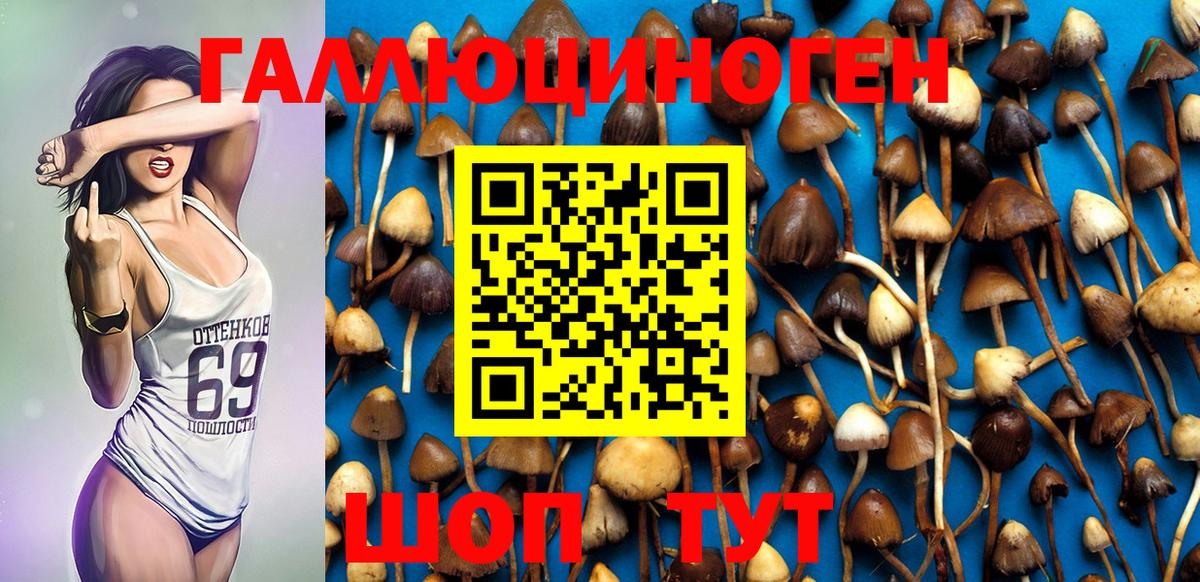 Псилоцибиновые грибы MAGIC MUSHROOMS  Псилоцибиновые грибы мицелий  Вход с VPN  Ногинск 